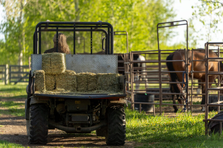 Driving Transfeeder Bales