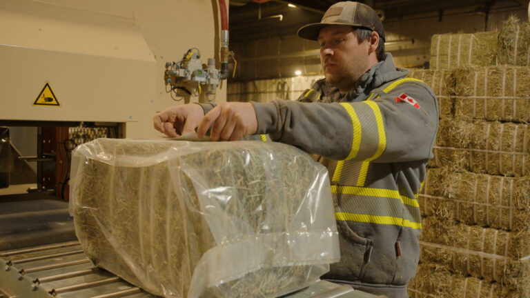 Easyfeed Packaging Assembly Line