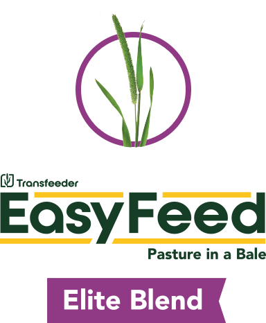 Elite Blend