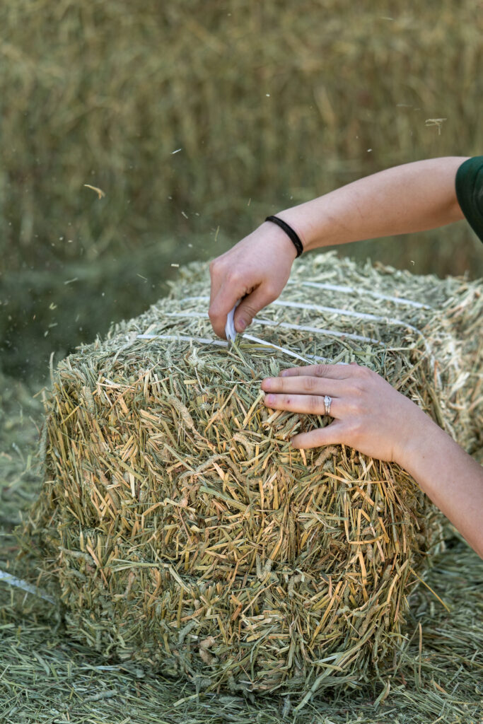 Hay Bale Strap Cutting