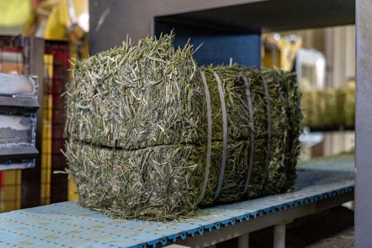 High Quality Bales