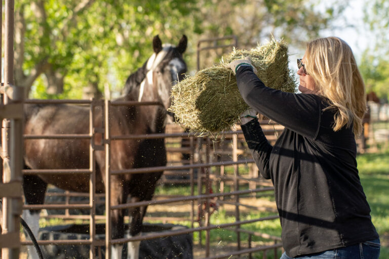 Superior Nutrition Horse Feed
