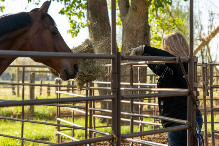 Tracey Feeding Horse
