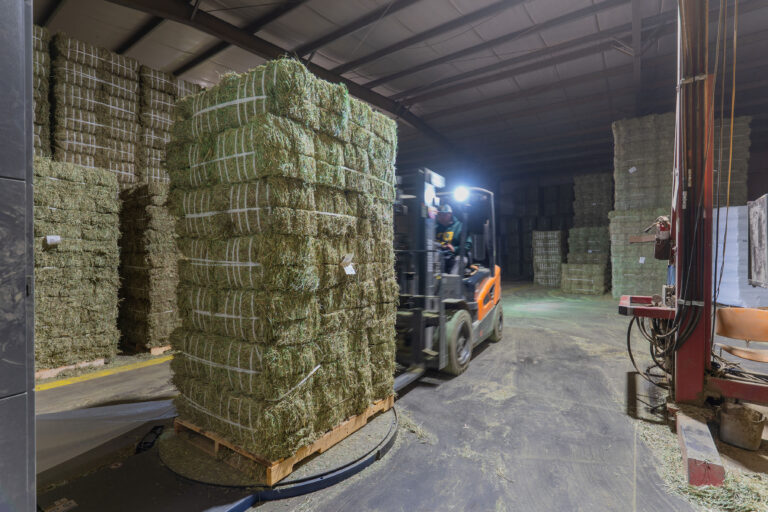 Warehouse Stock Hay Bales
