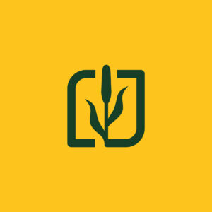 Trans Logo 35