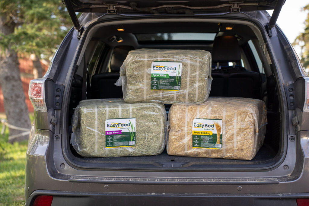 Bales In Car