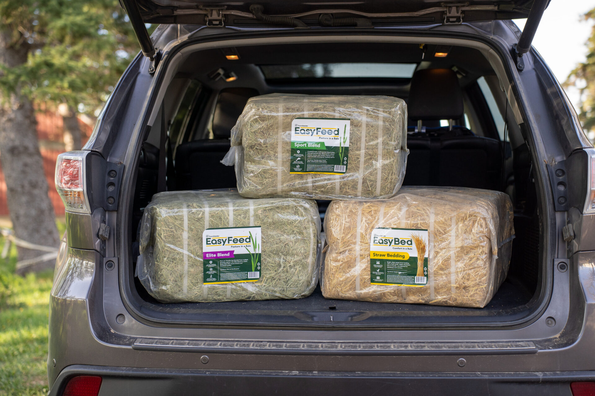 Bales In Car