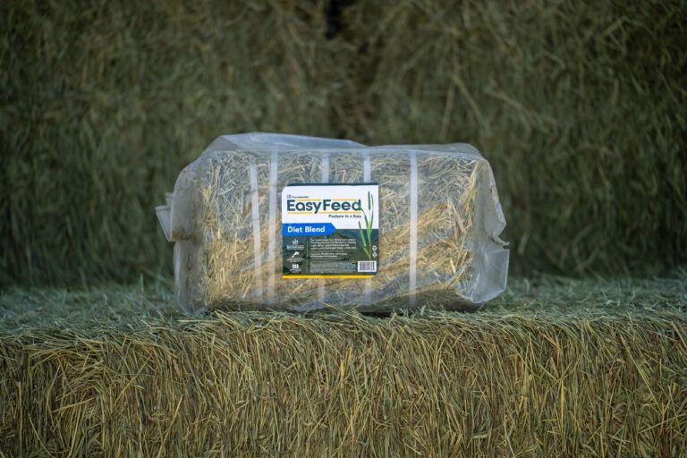 Easyfeed Diet Blend Bale