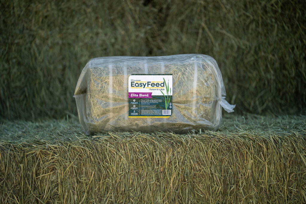 Easyfeed Elite Blend Bale