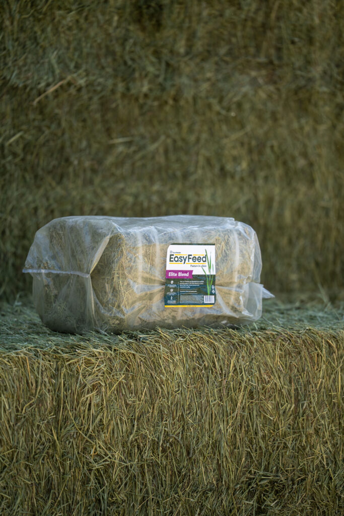 Easyfeed Elite Blend Bale