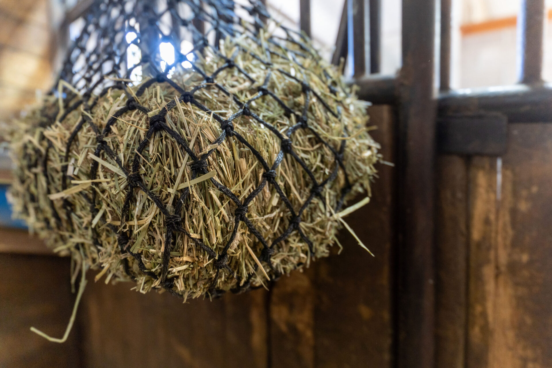 Horse Feed Net